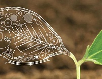 ФГБНУ «ВНИИ агрохимии» начинает работу по повышению  квалификации специалистов