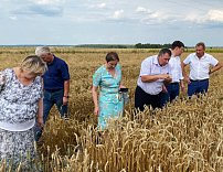 ВНИИ агрохимии принял участие в выездном совещании Министерства сельского хозяйства и продовольствия Московской области